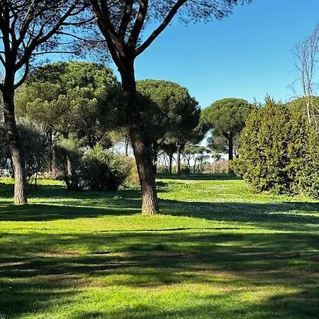 Apartment Olimpia Rome